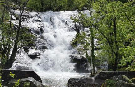 La Lancha del Jerte - Foto 41