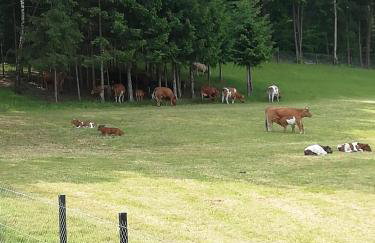 Uroczy zakątek Karkonoszy - Foto 19