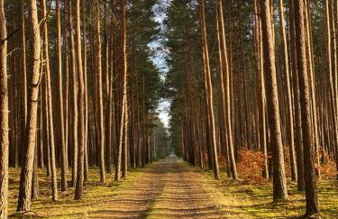 Przytulny apartament dla dwojga - Foto 3