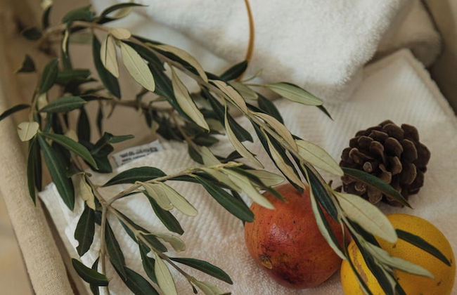 Tenuta Masseria & Spa Chicco Rizzo - Photo 38