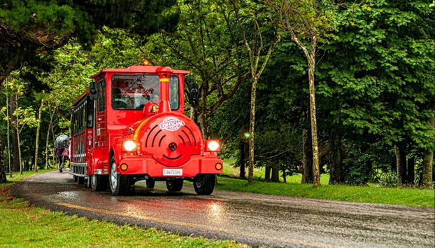 Santander Hop-On Hop-Off Bus Tour - Photo 4