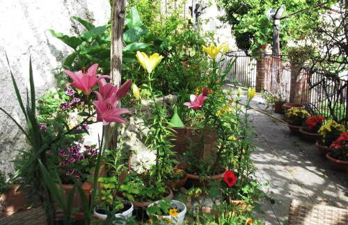 Le Mimose - Photo 53