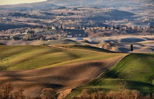 Villa Ginevra-Villa Indipendente-Crete Senesi-Tuscany - Foto 57