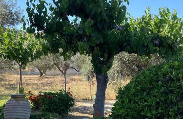 George's apartment - Foto 17