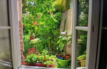 Appart Rez de jardin - Foto 4