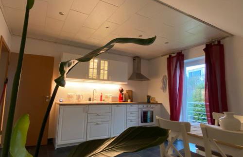 Moderne Ferienwohnung Seeblick - Foto 5