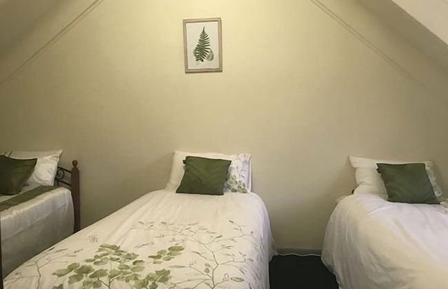 Barrington Wilderness Cedar Lodge Accommodation - Foto 5