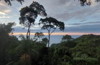 Chalé dos Altos de Laranjeiras - Foto 25