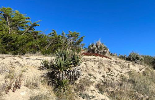 Villa Miha (New house Saint Martin de Ré) - Foto 50