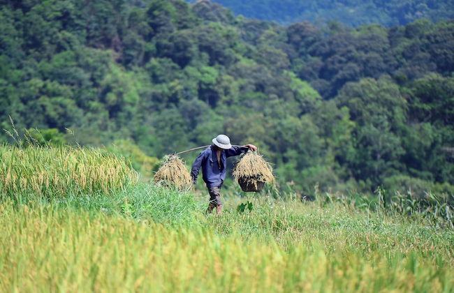 Thai House Pu Luong - Foto 68