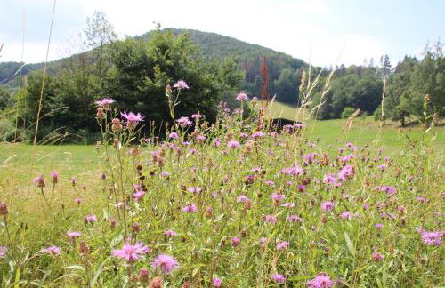 Haus Hirtenbergblick - Foto 48