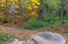 Domek Cichy Zakątek Beskid Niski - Foto 80