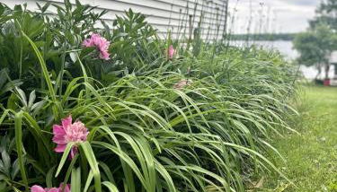 Embrace Nature in this Breathtaking Cottage in Portage Lake, Maine - Foto 4