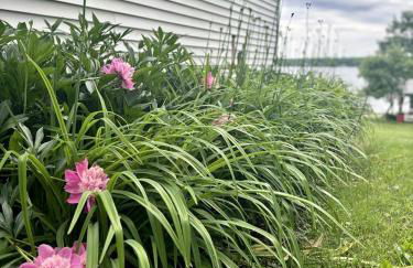 Embrace Nature in this Breathtaking Cottage in Portage Lake, Maine - Foto 4