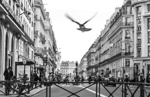 Appart XL "So cosy"- 4 beds - 8 pax - free Parking - Near Paris - Foto 52