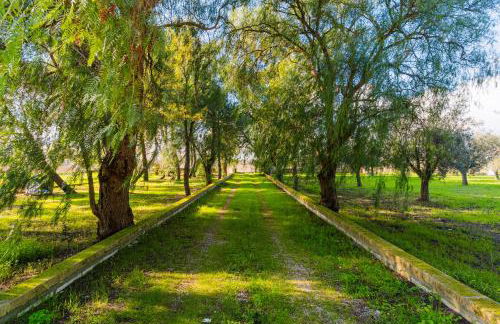 Villa Chiara - Salento Selection - Foto 32