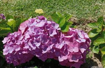 Nanna's Country Home - Foto 71