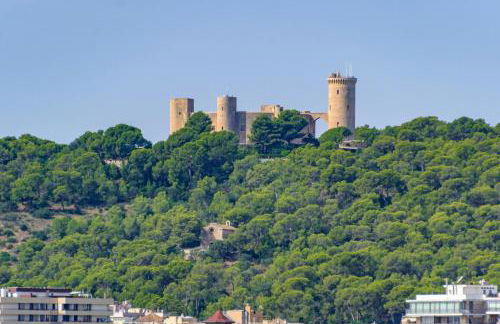 Gomila Palma Apartments - New Opening - Photo 42