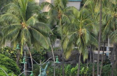 Waikiki Vacation Condo - Foto 15