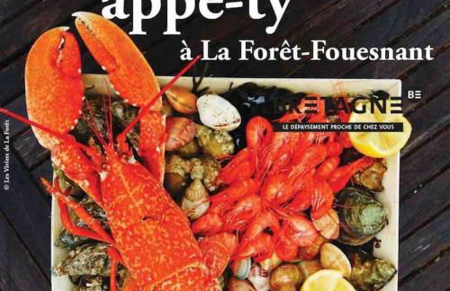 Villa Kerleven- 150m plage - Spa intérieur-piscine - Foto 40