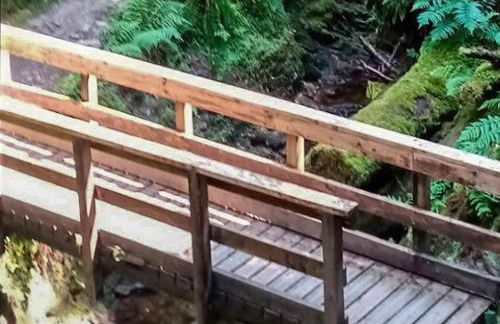 Grouse Lodge - Foto 10