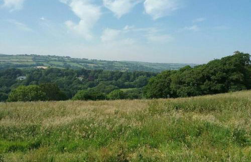 Stags View,Unique eco cabin, Dartmoor views - Foto 26