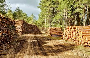 Alojamiento Rural Los Hacheros - Foto 74