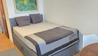 Studio Apartment - Foto 2