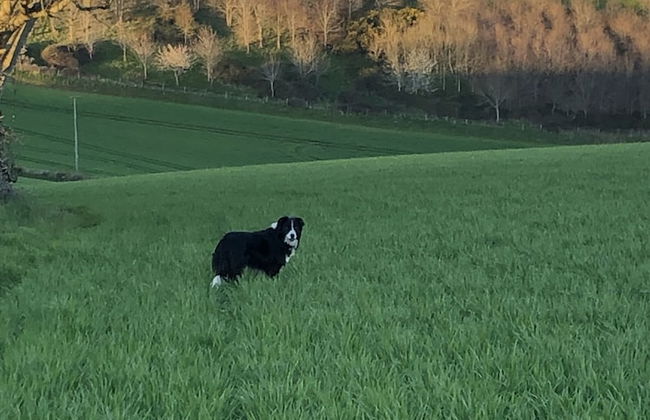 Lower Thornton Farm - Foto 31