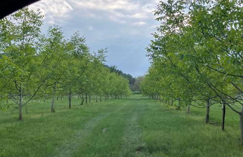 B&B Agriturismo Lombardi Bologna - San Lazzaro - Foto 20