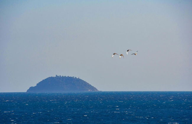 Vela D'oro - Photo 19