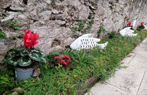 Casa Betty Lake View - Baveno - Foto 27