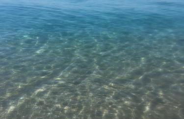 Pionono1 Calahonda Piscina - Foto 23