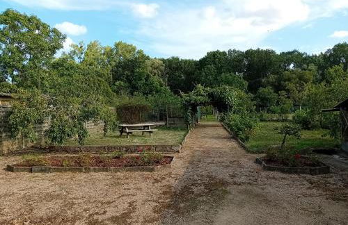 La maison du Vigneron - Foto 1