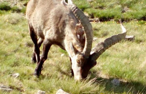 Casa Johana - Foto 27