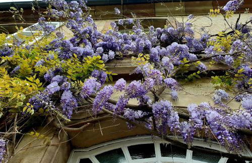 Schloss Hilbringen - Foto 43