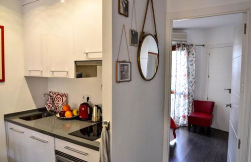 Alohamundi Campana - Foto 12