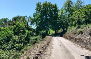 Antica Montesicco, casa vacanze in campagna - Foto 3