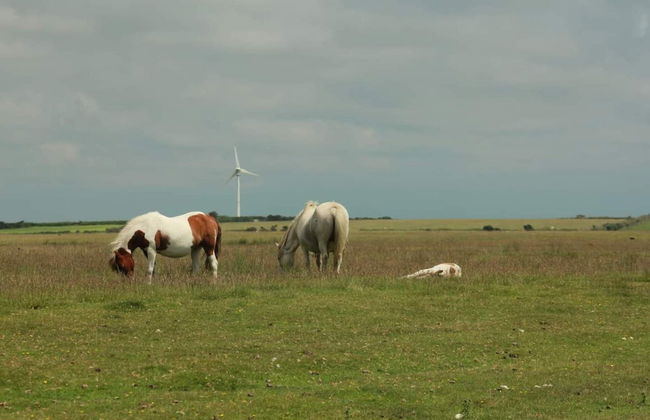 2-bed Cottage, Sleeps 5, Pets Ok, Close to Coast - Foto 11