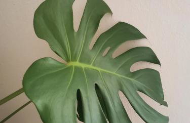 Casa el Concepto - Foto 6