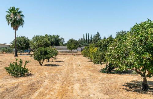 Remodeled 1 Acre Ranch Home in Madera - Foto 27