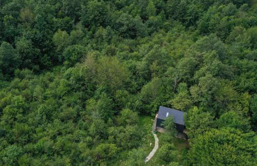 Tree Elements treehouse retreat - Foto 17