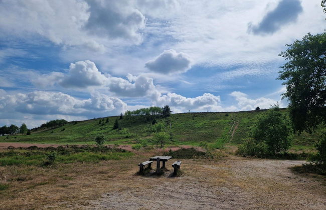 6 Person Holiday Home in Bording - Foto 40