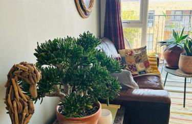 Cosy flat in New Malden, London - Foto 3