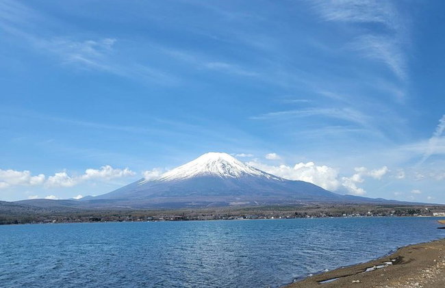 Tour privato in auto al Monte Fuji da Tokyo - Foto 11