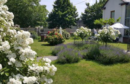 Ferienwohnung Altes Pfarrhaus mit Flair und Jufferblick - Foto 1