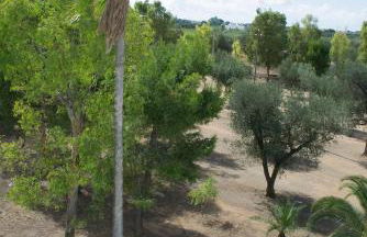 Tenuta Afra - Foto 36