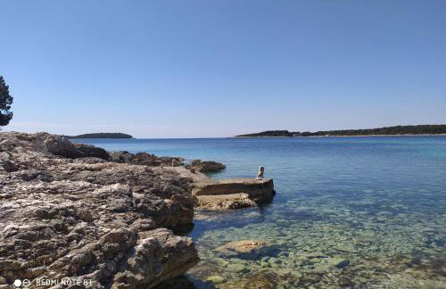 Apartmani Doro - Foto 35