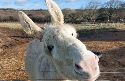 Gateway to Cornwall - Foto 6