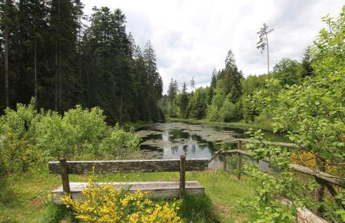 Ferienwohnung ENZTALPERLE - Foto 11